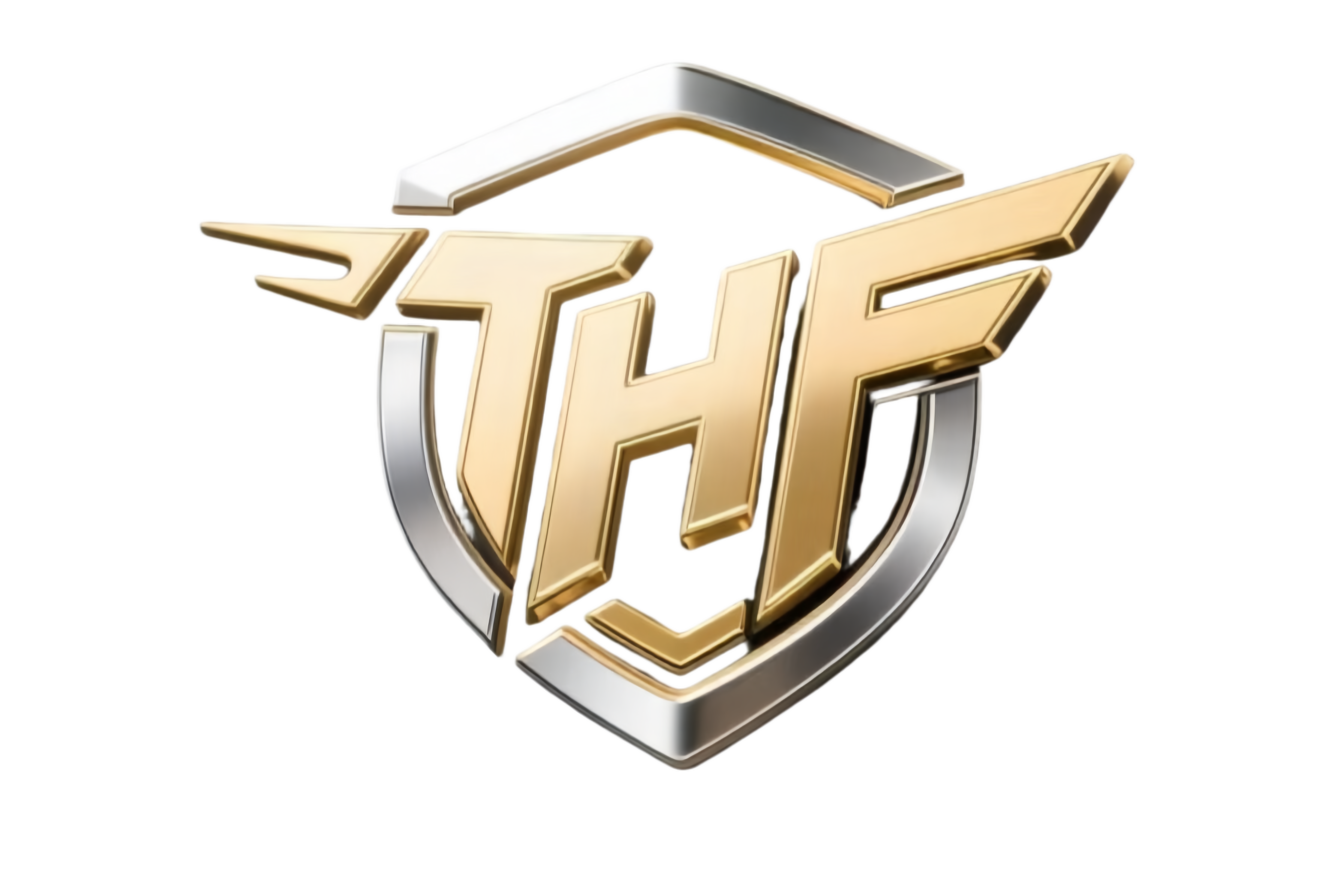泰州泰会飞智能科技有限公司Logo